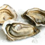 Where do oysters  live ?