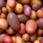 Interesting facts about potatoes