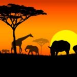 Interesting facts about Africa