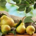Interesting facts about pears