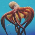 Interesting facts about octopuses