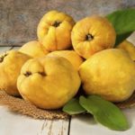 Interesting facts about quince