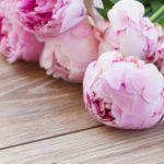Interesting facts about peonies