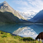 Interesting facts about Altai