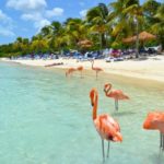 Interesting facts about Aruba