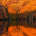 Interesting facts about autumn