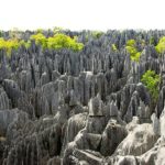 Stone Forest of Madagascar