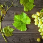 20 interesting facts about grapes