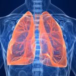 25 interesting facts about the human respiratory system
