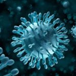 25 interesting facts about viruses