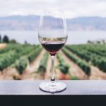 15 Facts About Wine: Interesting and Fun Facts