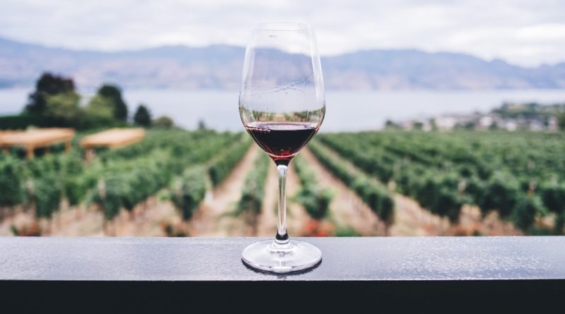 15 Facts About Wine: Interesting and Fun Facts
