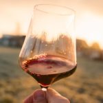 Glass of wine a day – is it beneficial for our health?