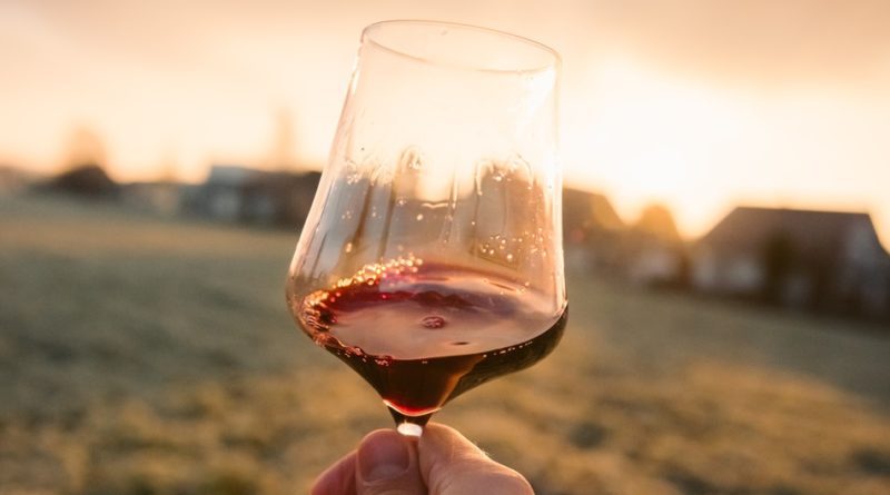 Glass of wine a day – is it beneficial for our health?