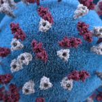 What are the differences between viruses and bacteria?