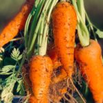 Carrots Nutrition Facts - 10 Interesting and Fun Facts