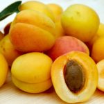 The Scientific Name Apricot