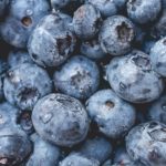 10 Facts About Bilberry - Interesting and Useful Facts