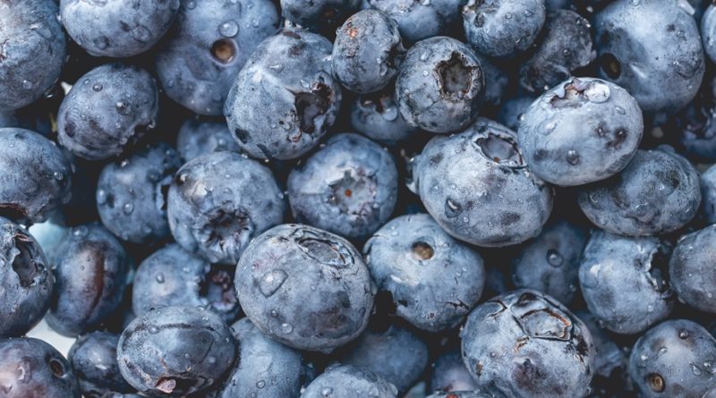 10 Facts About Bilberry