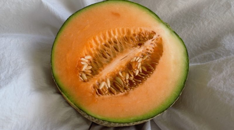 10 Facts About Cantaloupe