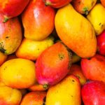 Mango Fruit Nutrition Facts - 10 Interesting and Useful Facts
