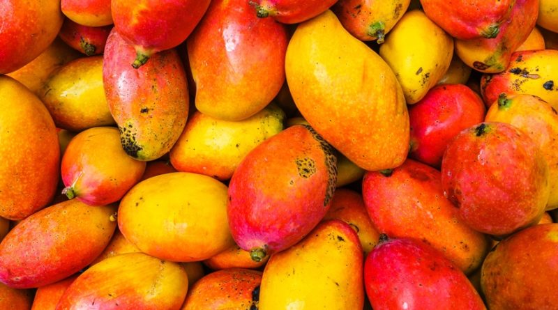 10 Mango Fruit Nutrition Facts