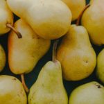 The Scientific Name of Pear