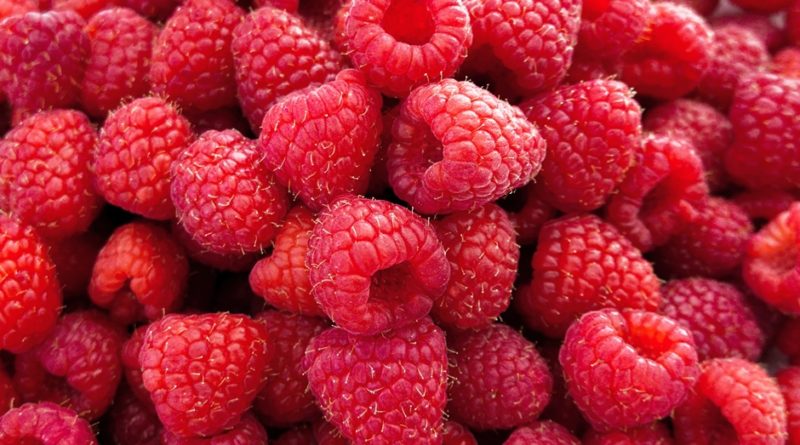 10 Facts About Raspberry