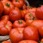 The Scientific Name of Tomato